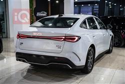 بي واي دي سيليون 06 DM-i